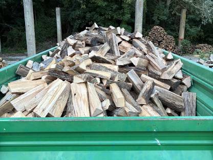 Bild 2:Brennholz, Hartholz Esche