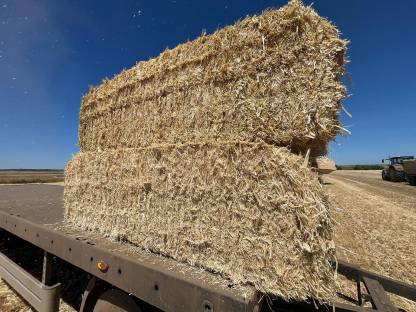 Bild 2:Stroh Ernte 2025