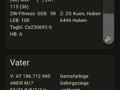 Bild 3:Verkaufe Hb Ggz bock