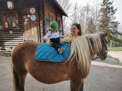 Bild 5:Lilly – Haflinger-Pony-Mix-Stute mit Reitpädagogikerfahrung