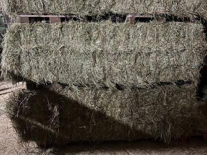 Bild 3:Verkaufe Heu Ernte 2025