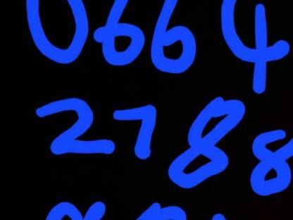 Bild 5:Lely RP 245 Rundballenpresse