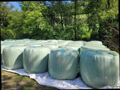 Silageballen