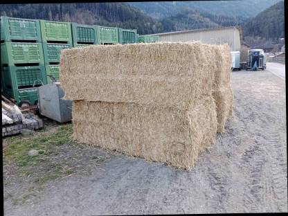 Bild 3:Heu, Stroh zu verkaufen