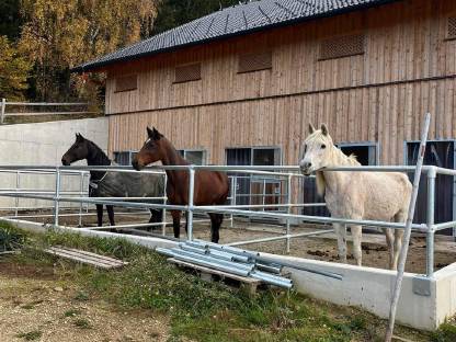 Bild 3:Einstellplätze für Pferde