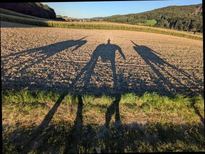 Bild 3:Ausbildung in Kutschenfahrten, Reiten, Holzrücken