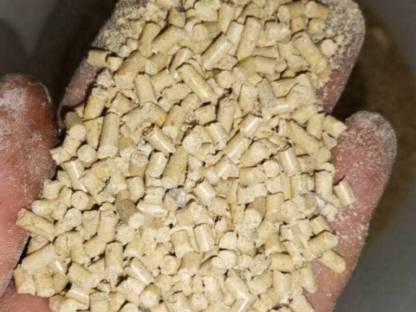Lämmermastkorn, Kraftfutter für Mutterschafe