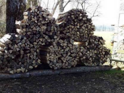 Bild 3:Eschenbrennholz