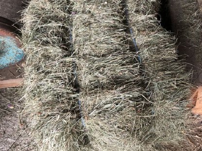 Bild 2:Feines Heu