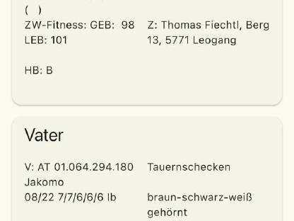 Bild 3:2a Tauernschecken Zieger