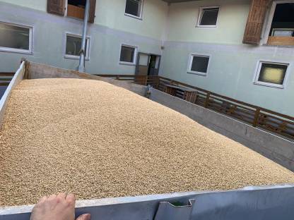 Bild 8:Volvo F610 Kipper