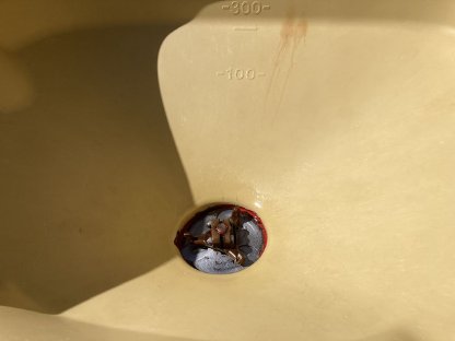 Bild 4:Düngestreuer Vicon PS 754