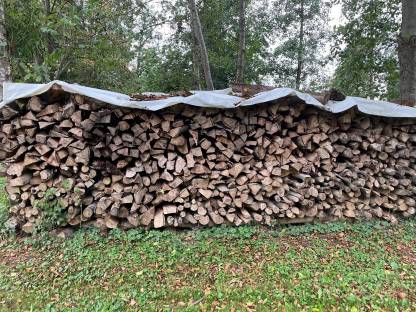 Brennholz Hart/Weich