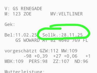 Bild 2:Bio Fleckviehkalbin behornt