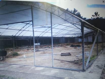 Bild 7:Serra zingata 640mq