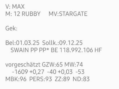 Bild 3:Bio-Holsteinkalbin
