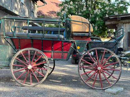Bild 2:Wagonette mit Geschirr und Leinen