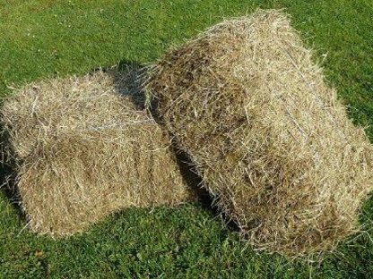 Lohnunternehmen für Produktion Heu in Kleinballen gesucht