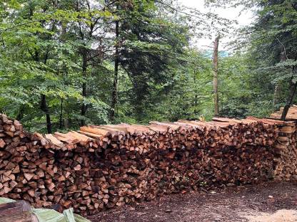 Brennholz Buche 1 m Scheiter