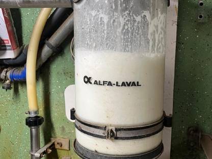 Bild 5:Melkstand Side by Side