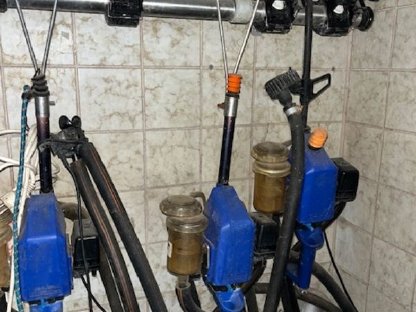 Rohrmelkanlage DeLaval