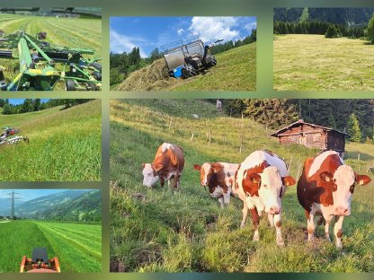 Suche Landwirtschaft zu pachten/Leibrente