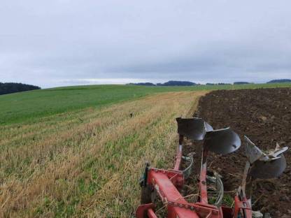 Bild 3:Milchviehbetrieb sucht Pachtflächen in Urfahr-Umgebung