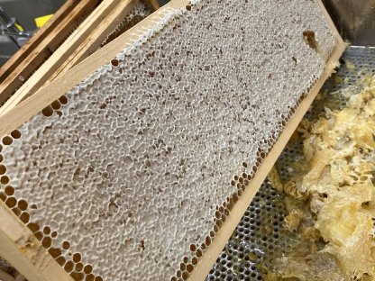 Verkaufen Honig in Hobbock 35-40 kg, Blütenhonig
