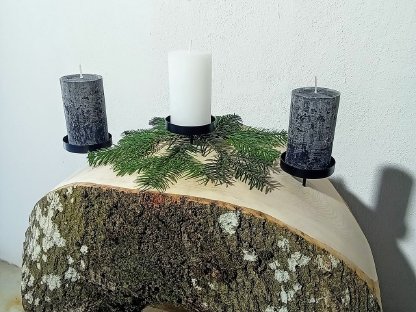 Bild 2:Astgabel Esche