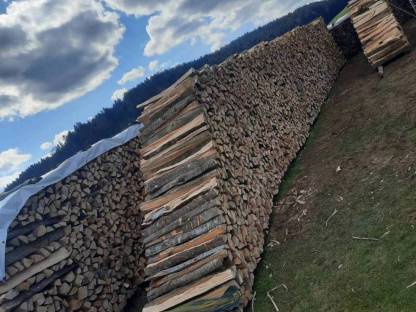 Bild 2:Brennholz Buche