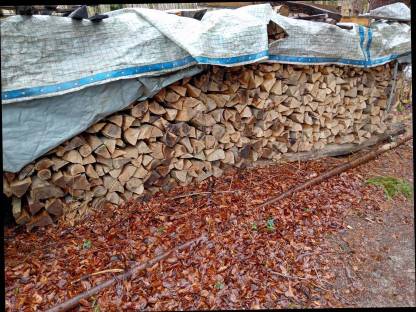 Bild 2:Buchenbrennholz