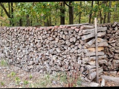 Bild 2:Brennholz Buchenholz Hartholz