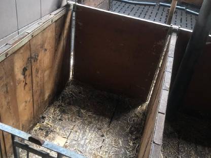 Bild 4:Kälberboxen