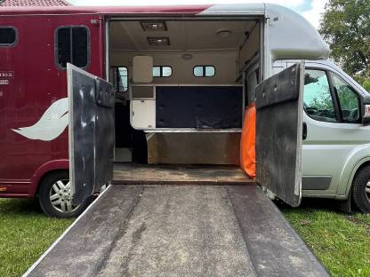 Bild 4:Pferdetransporter Peugeot