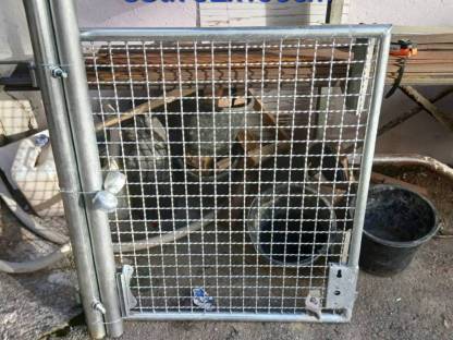 Bild 2:Gartentore verzinkt