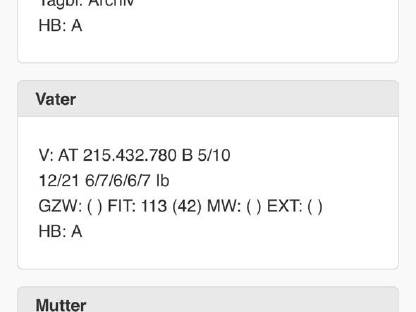 Bild 2:Braunes Bergschaf