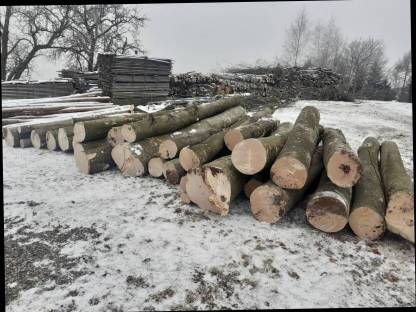 Bild 2:Brennholz Buche