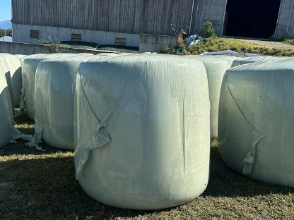 Maissilageballen