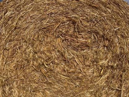 Bild 3:Stroh günstig abzugeben