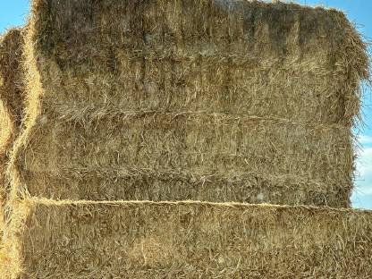 Bild 4:Stroh B-Ware zum Einstreuen