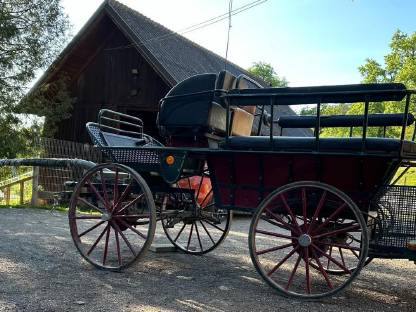 Bild 9:Wagonette mit Geschirr und Leinen