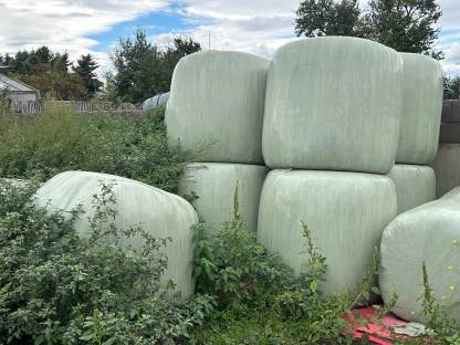Silageballen von 9/2024