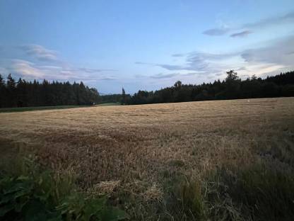 Bild 2:Suchen Pachtgrund Wels-Land, Kirchdorf