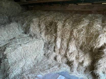 Bild 4:Heuballen 1. Schnitt