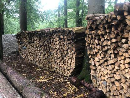 Bild 2:Brennholz