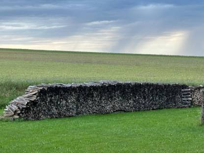 Bild 5:Brennholz Buche