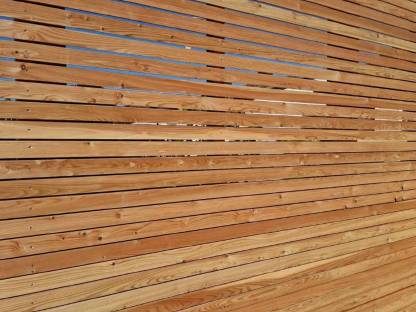 Bild 5:Lärchen Rhomben