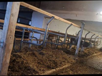 Bild 4:Liegeboxenbügel