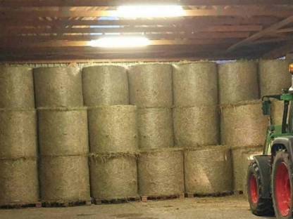 Bild 4:Heu Grummet Rundballen