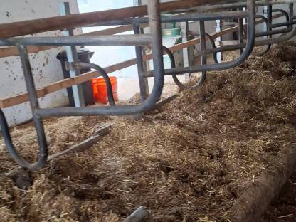 Bild 6:Liegeboxenbügel